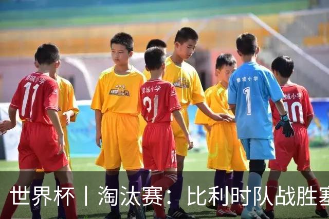 世界杯丨淘汰赛：比利时队战胜塞内加尔队