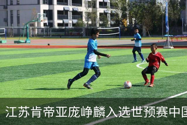 江苏肯帝亚庞峥麟入选世预赛中国男篮大名单